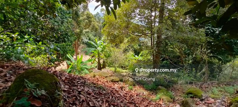 Tanah Pertanian untuk Dijual di Balik Pulau, George Town oleh CH Chang - iProperty.com.my