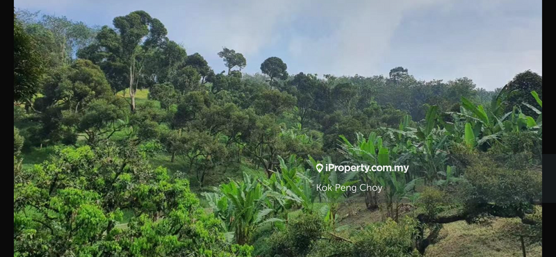Tanah Pertanian untuk Dijual di Taman Sungkai Perdana, Sungkai oleh Kok Peng Choy - iProperty.com.my