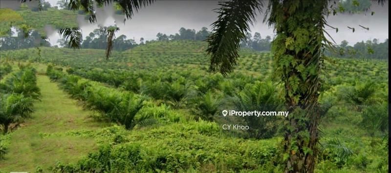 Agricultural Land for Sale in Johor Kulai 81000, Kulai by CY Khoo - iProperty.com.my