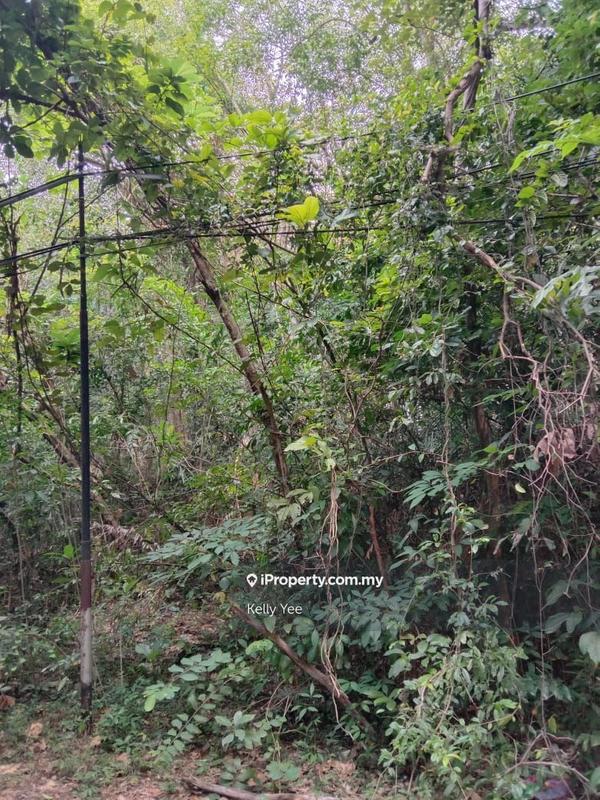 Tanah Kediaman untuk Dijual di Bukit Tengah, Bukit Mertajam oleh Kelly Yee - iProperty.com.my