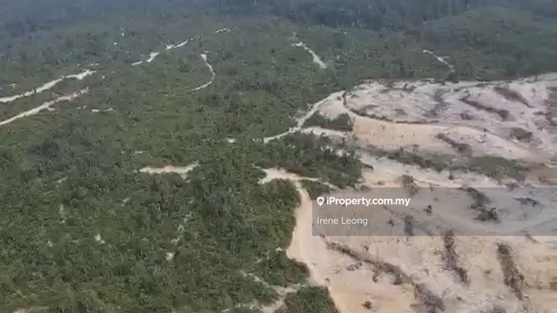 For Sale - 1000 acres Temerloh Lakum Leaseland For Sale