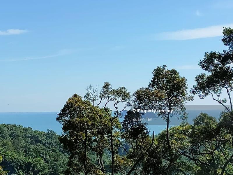 Agricultural Land for Sale in Gertak Sanggul, Bayan Lepas by Zusain Tan - iProperty.com.my