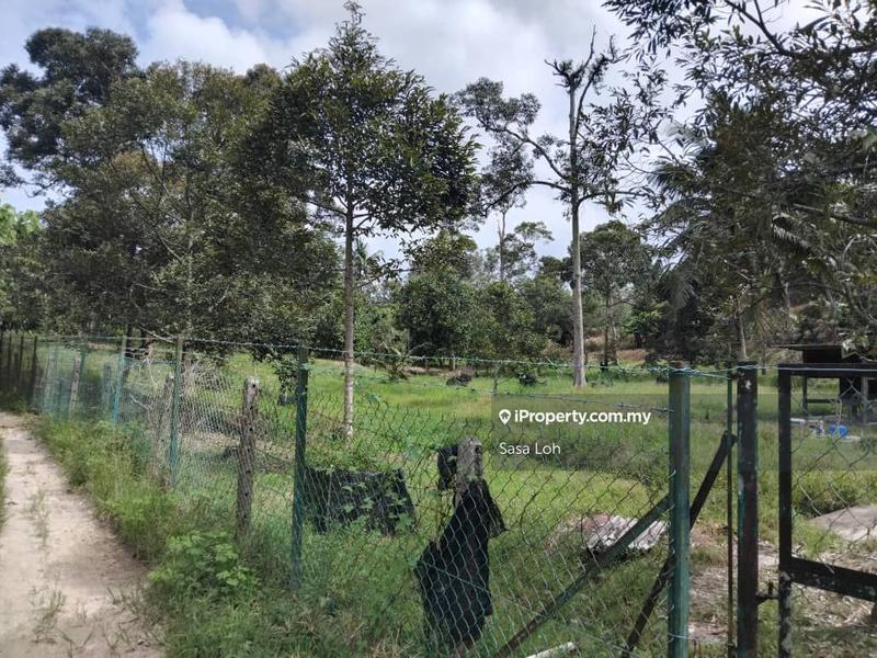 Agricultural Land for Sale in Taman Bukit Petaling, Kuala Klawang by Sasa Loh - iProperty.com.my