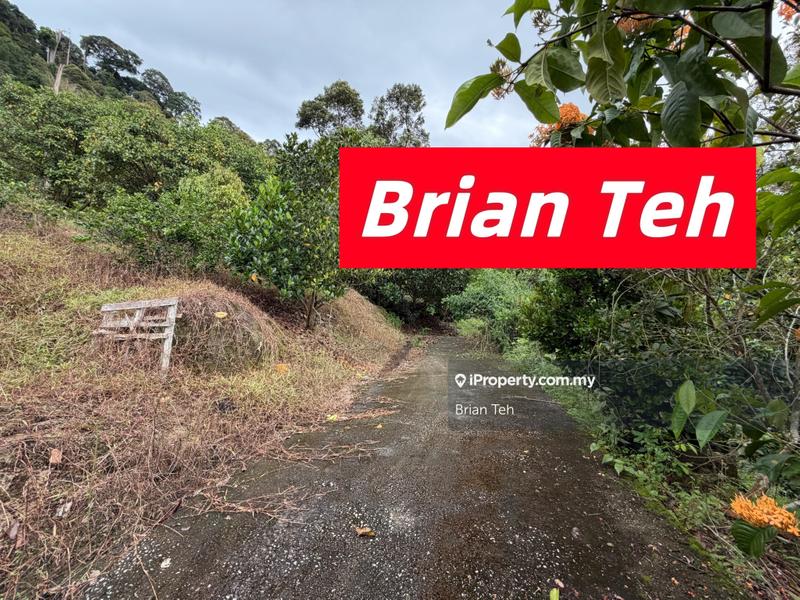 For Sale - Hill Land Durian Farm Agricultural Land Sale at Teluk Kumbar with Road Access