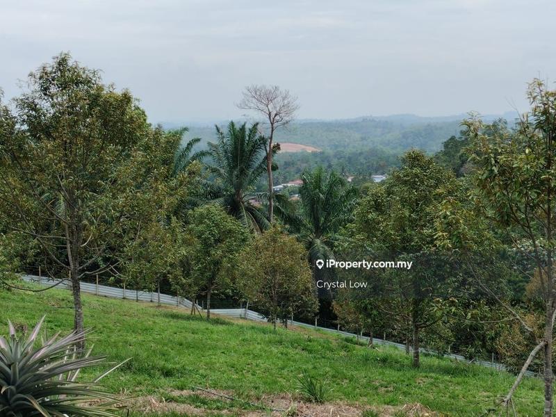 Tanah Pertanian untuk Dijual di Sega, Raub oleh Crystal Low - iProperty.com.my