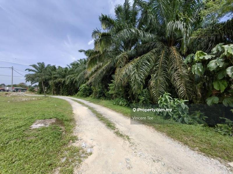 Agricultural Land for Sale in Kampung Jenderam Hulu, Dengkil by Vincent Tee - iProperty.com.my