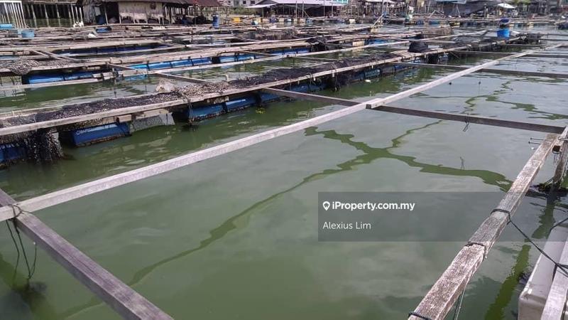 Agricultural Land for Sale in Kukup, Pontian by Alexius Lim - iProperty.com.my