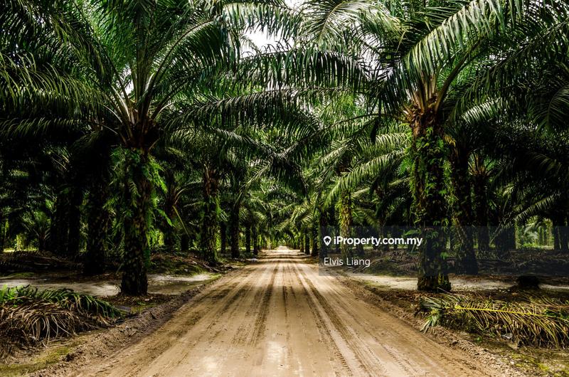 Industrial Land for Sale in Taman Senai, Kulai by Elvis Liang - iProperty.com.my