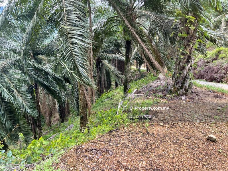 Tanah Pertanian untuk Dijual di Karak Telemong Manchis, Bentong oleh Damon Wong - iProperty.com.my
