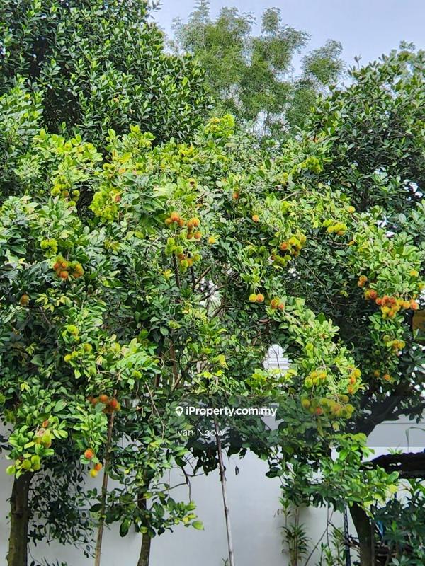 Bungalow House for Sale in Jalan Cecawi 6, Kota Damansara, Petaling Jaya, Kota Damansara by Ivan Ngow - iProperty.com.my