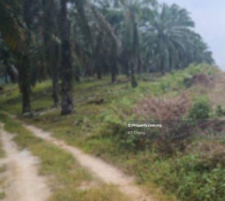 Tanah Kediaman untuk Dijual di Bidor, Perak oleh K.T Chong - iProperty.com.my