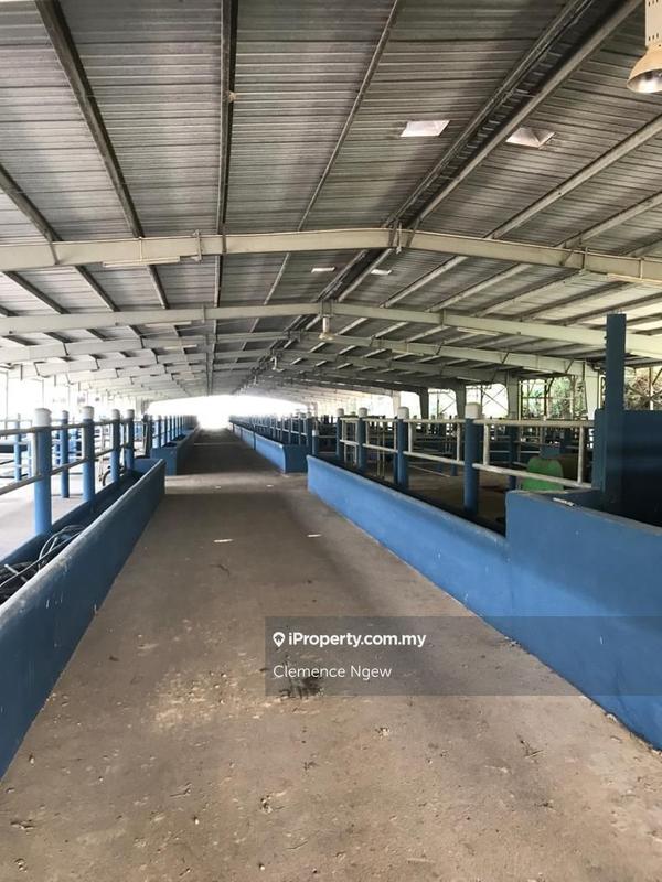 Tanah Pertanian untuk Dijual di Kota, Rembau, Seremban oleh Clemence Ngew - iProperty.com.my