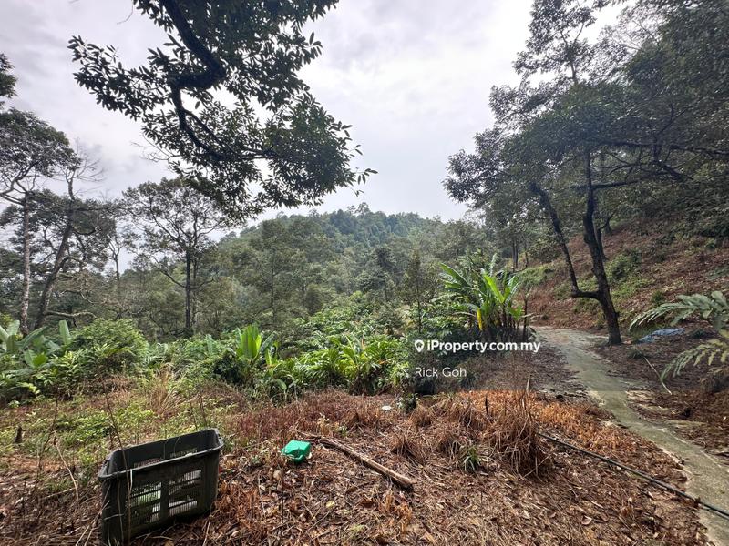 Tanah Pertanian untuk Dijual di Teluk Bahang, Penang oleh Rick Goh - iProperty.com.my