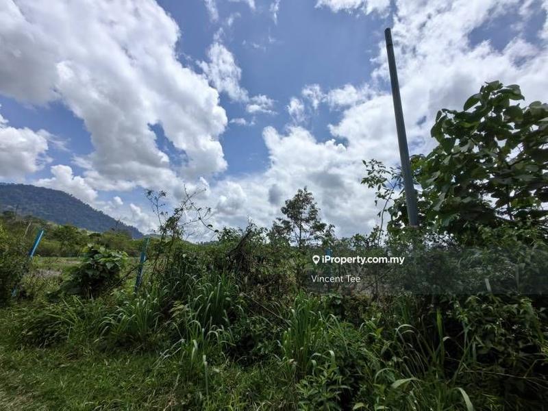 Agricultural Land for Sale in Bandar Lipis, Kuala Lipis by Vincent Tee - iProperty.com.my