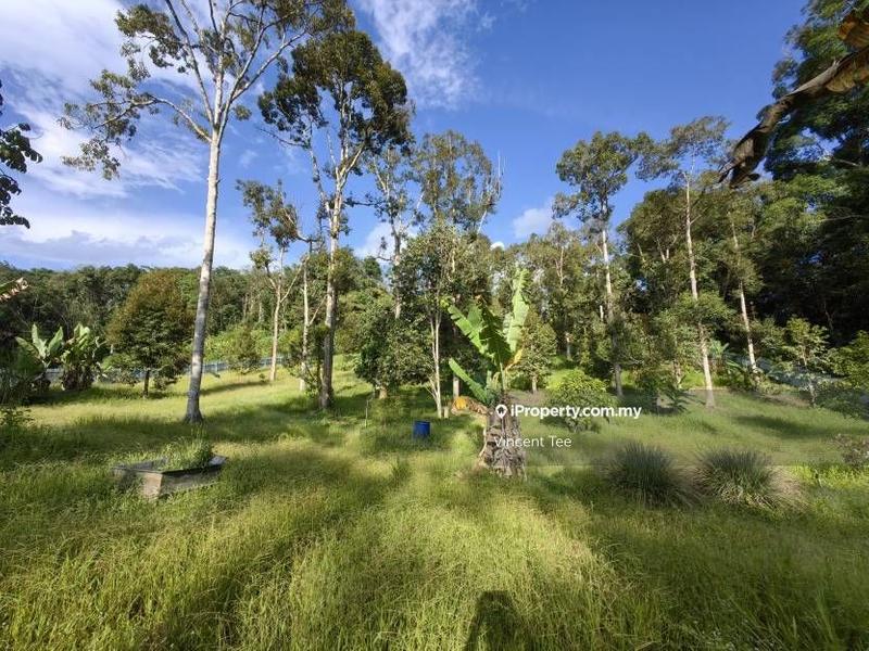For Sale - 2 Acres Freehold Durian Farm Next to River Padang Tengku Kuala Lipis Raub Bentong