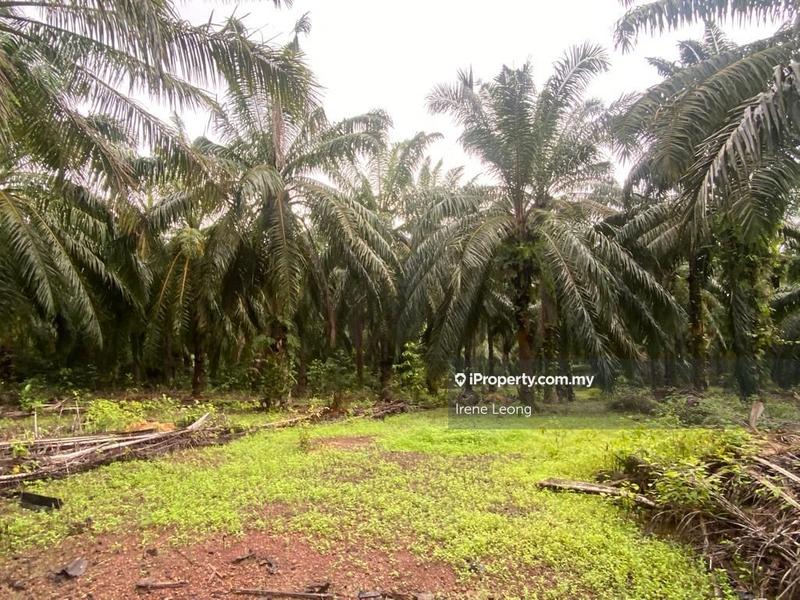 For Sale - 9.4 acre Mentakab Zooming Industrial Land For Sale