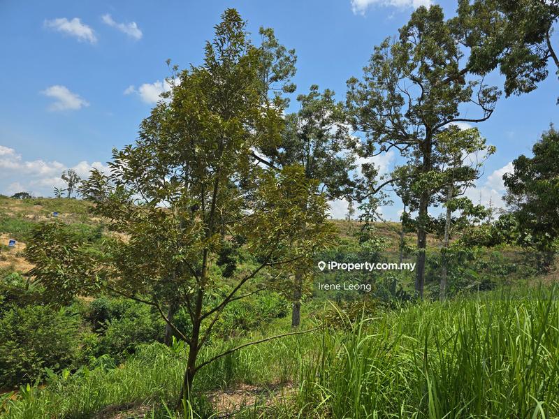 Agricultural Land for Sale in Karak, Pahang by Irene Leong - iProperty.com.my