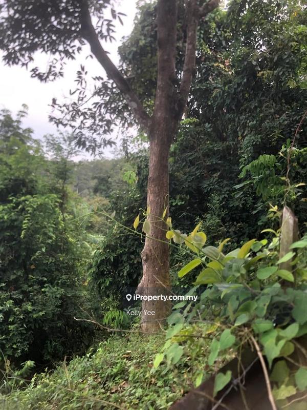 Agricultural Land for Sale in Nibong Tebal, Penang by Kelly Yee - iProperty.com.my