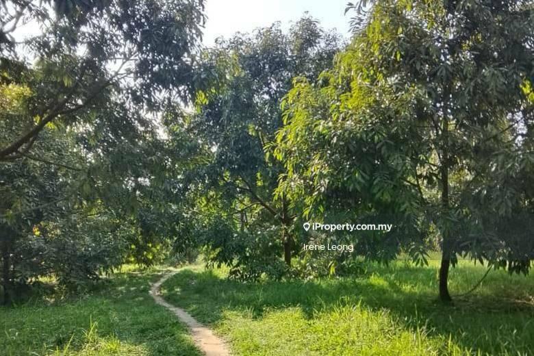 Agricultural Land for Sale in Karak, Pahang by Irene Leong - Exterior - iProperty.com.my