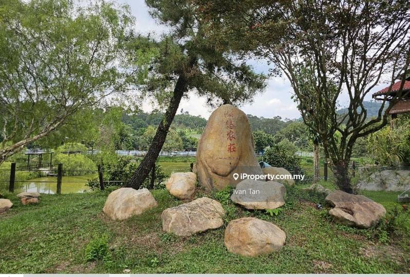 Tanah Pertanian untuk Dijual di Kampung Sungai Makau, Hulu Langat oleh Ivan Tan - iProperty.com.my