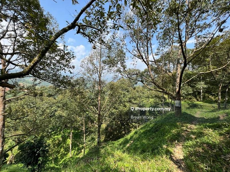 Tanah Pertanian untuk Dijual di Taman Bukit Tinggi, Bentong oleh Bryan Wong - iProperty.com.my