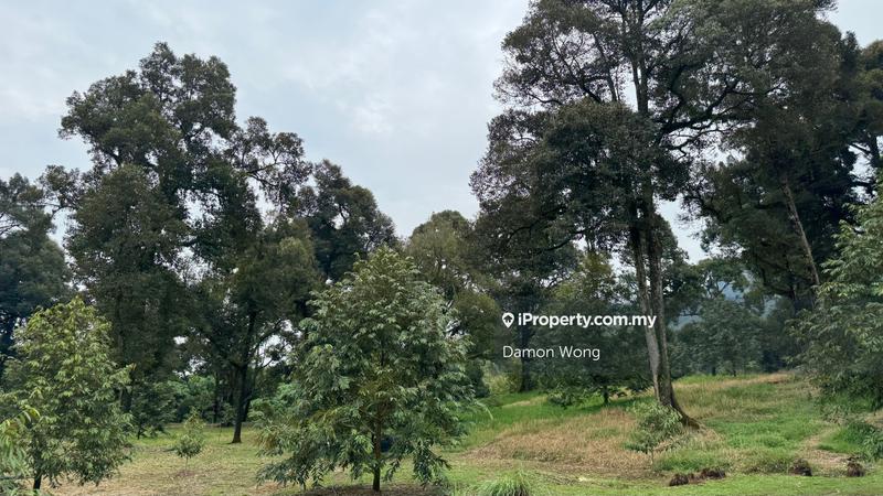 Agricultural Land for Sale in Karak, Karak by Damon Wong - iProperty.com.my