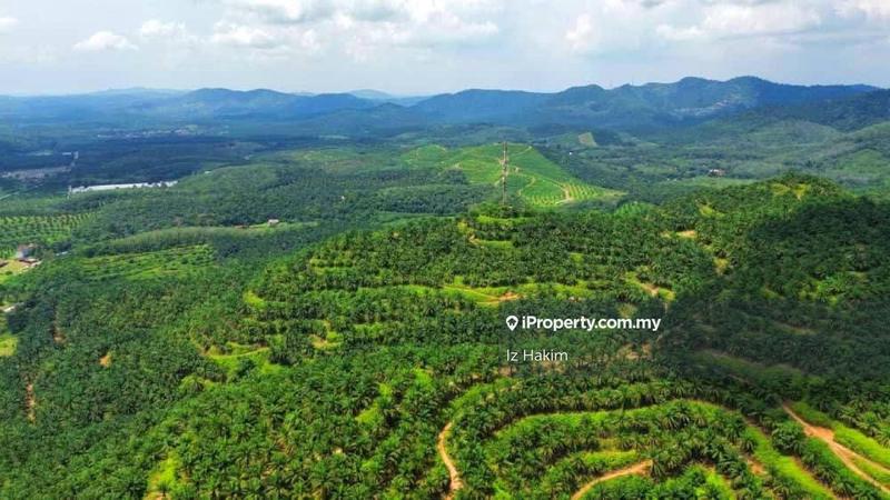 Agricultural Land for Sale in Kuala Pilah, Negeri Sembilan by Iz Hakim - iProperty.com.my
