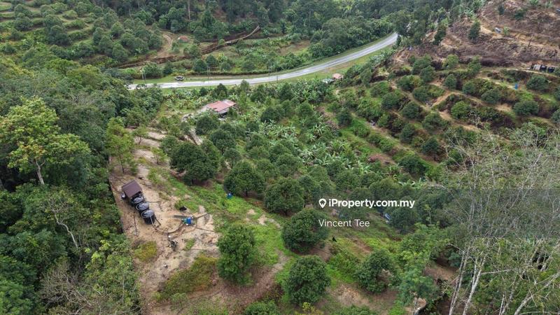 Agricultural Land for Sale in Taman Titi, Titi by Vincent Tee - iProperty.com.my