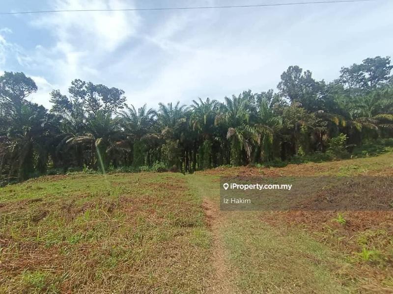 Agricultural Land for Sale in Kuala Kubu Baru, Selangor by Iz Hakim - iProperty.com.my