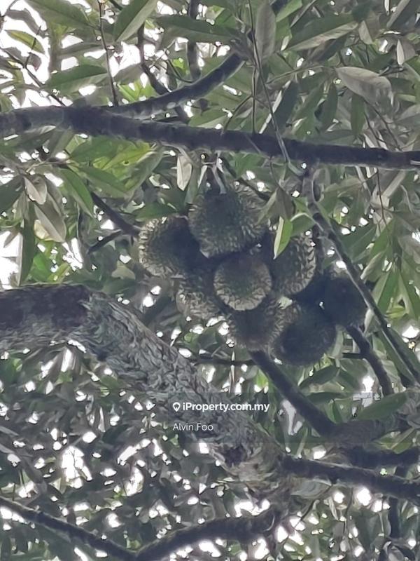 For Sale - Agriculture Land 7.4 Acres @ Ulu Yam Selangor