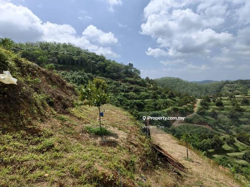 Agricultural Land for Sale in Pekan Baru Titi, Titi by Vincent Tee - iProperty.com.my