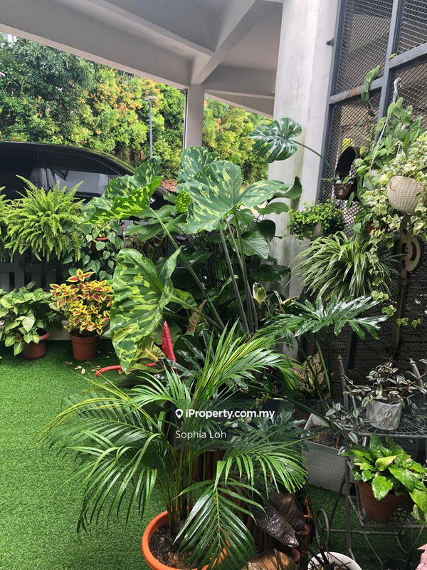 3-storey Terraced House for Rent in Sunway Eastwood, Seri Kembangan by Sophia Loh - iProperty.com.my