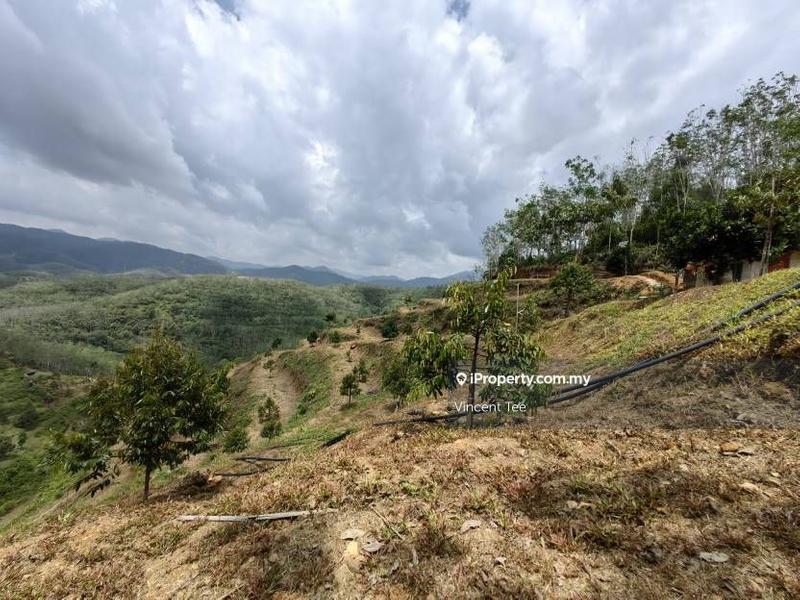 Agricultural Land for Sale in Pekan Baru Titi, Titi by Vincent Tee - iProperty.com.my