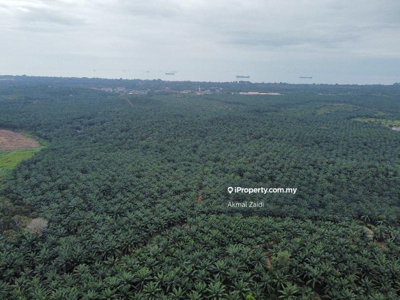 Agricultural Land for Sale in Melaka, Melaka City by Akmal Zaidi - iProperty.com.my