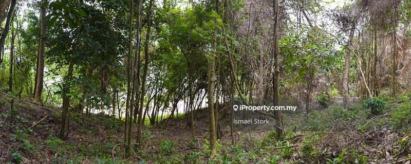 Agricultural Land for Sale in Langkawi, Kuah by Ismael Stork - iProperty.com.my