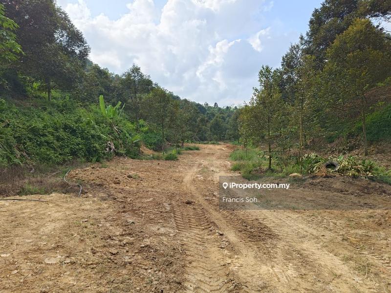 For Sale - A river runs through the land, suit for durian, palm oil or solar