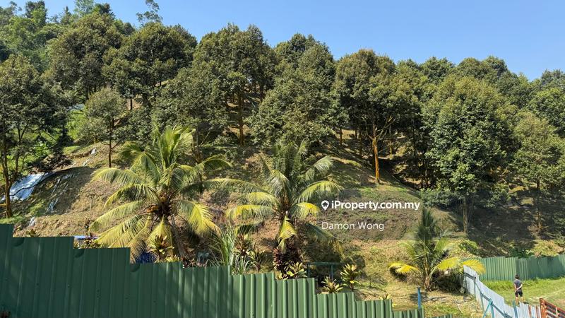 For Sale - 5 acres Musang King Durian Orchard in Bentong