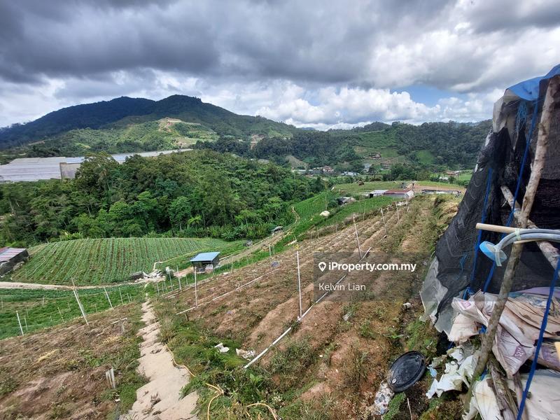 For Sale - 40 Acres Farm Land, Ringlet, Cameron Highlands