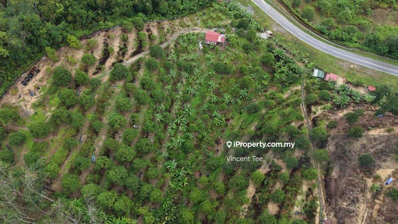 Agricultural Land for Sale in Taman Titi, Titi by Vincent Tee - iProperty.com.my