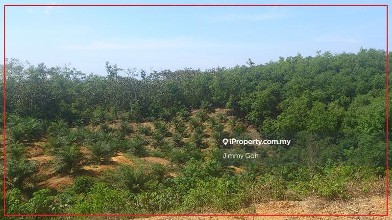 Tanah Pertanian untuk Dijual di Kerling, Kerling oleh Jimmy Goh - iProperty.com.my