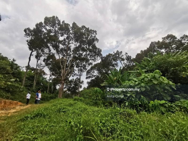 Agricultural Land for Sale in Seremban, Ampangan by Anita Omar - iProperty.com.my