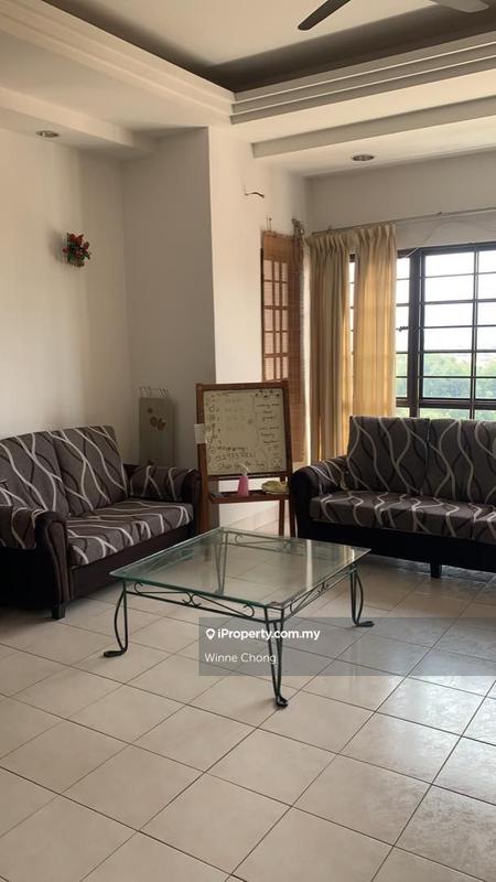 For Sale - Evergreen Park Scot Pine