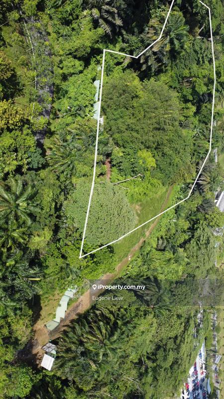Tanah Kediaman untuk Dijual di Bukit Tunku, Bukit Tunku (Kenny Hills) oleh Eugene Liew - iProperty.com.my