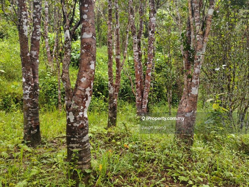 Tanah Pertanian untuk Dijual di Jalan Kota Bharu, Gua Musang, Kuala Krai, Kelantan, Gua Musang oleh Jason Wong - iProperty.com.my