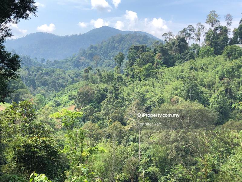 Tanah Kediaman untuk Dijual di Janda Baik, Bentong oleh Jennifer Yap - iProperty.com.my