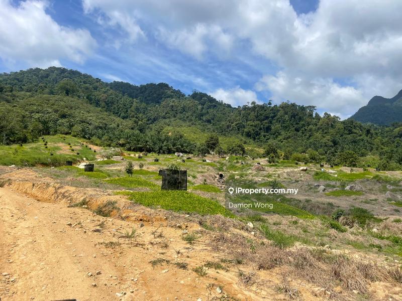 Agricultural Land for Sale in Karak, Bentong by Damon Wong - iProperty.com.my