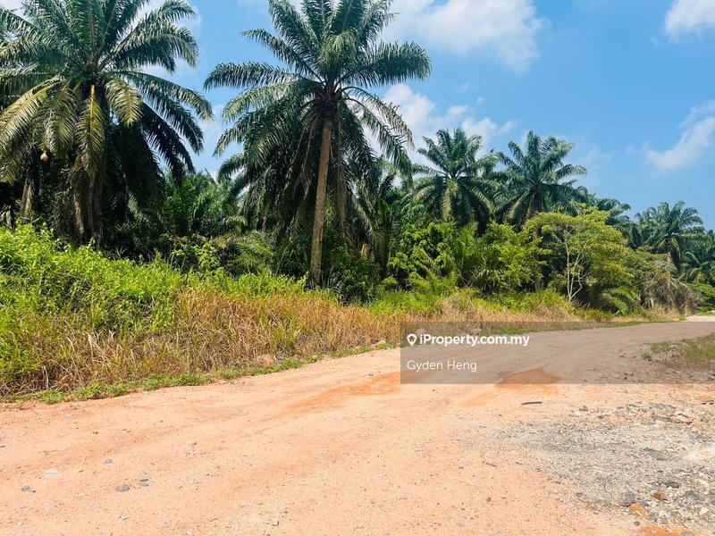 Agricultural Land for Sale in Taman Pontian Jaya, Pontian by Gyden Heng - iProperty.com.my