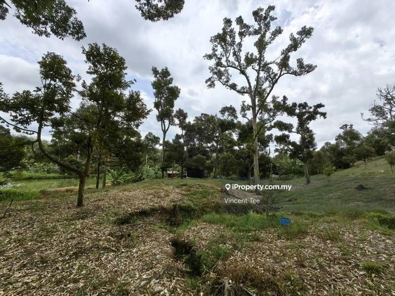 Tanah Pertanian untuk Dijual di Cheroh, Raub oleh Vincent Tee - iProperty.com.my
