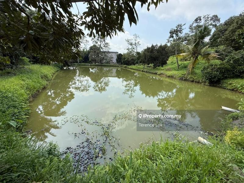 Tanah Pertanian untuk Dijual di Hosapa, Titi oleh Terence Lok - iProperty.com.my