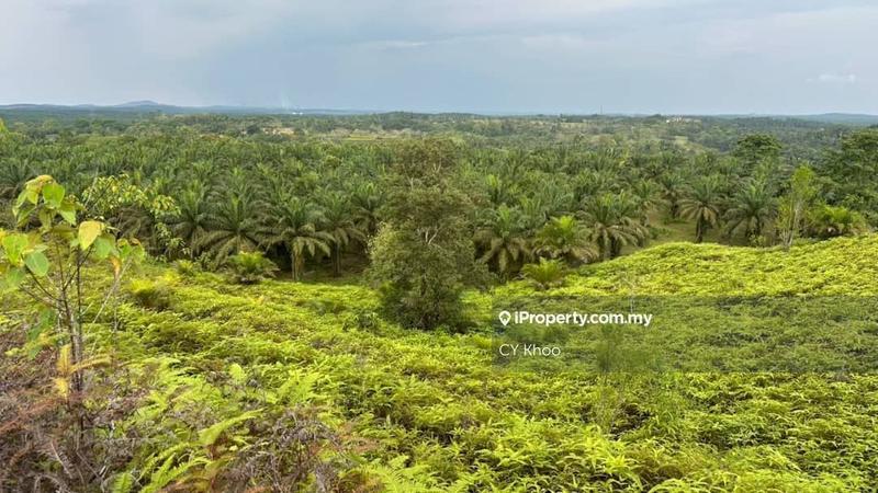 Agricultural Land for Sale in Johor Kulai 81000, Kulai by CY Khoo - iProperty.com.my